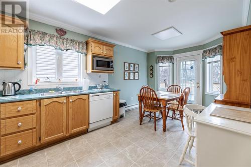 33 Winslow Street, St. John'S, NL - Indoor Photo Showing Kitchen With Double Sink