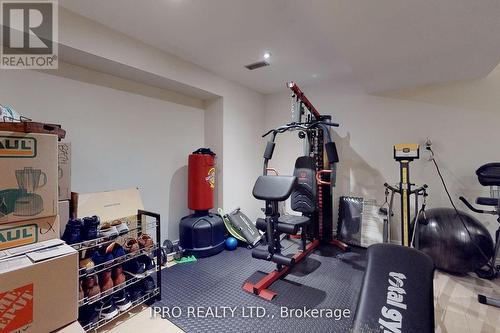 80 Oakhaven Place, Hamilton, ON - Indoor Photo Showing Gym Room