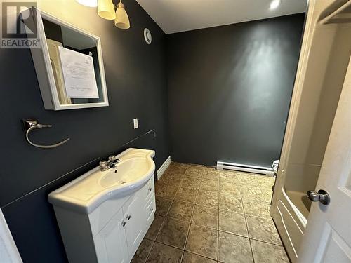 21 Main Street, Grand Falls-Windsor, NL - Indoor Photo Showing Bathroom