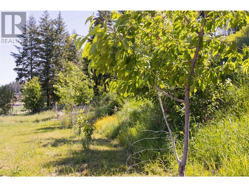 5165 Salmon River Road, Armstrong, BC 