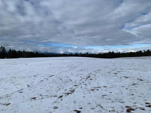 Null Wardner-Fort Steele Road, Wardner, BC 