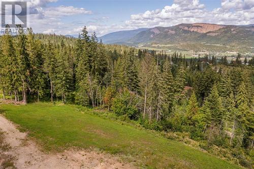 336 Gunter-Ellison Road, Enderby, BC 