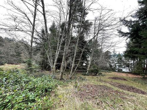 Lot 102 Sockeye Dr, Mudge Island, BC 