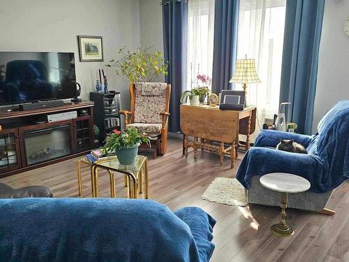 Salon - 189  - 191 Rue St-Louis, Beaupré, QC - Indoor Photo Showing Living Room