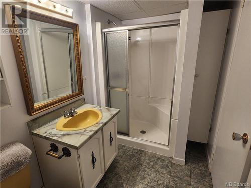 233 Bellevue Street, Edmundston, NB - Indoor Photo Showing Bathroom