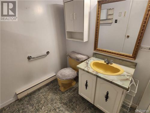 233 Bellevue Street, Edmundston, NB - Indoor Photo Showing Bathroom
