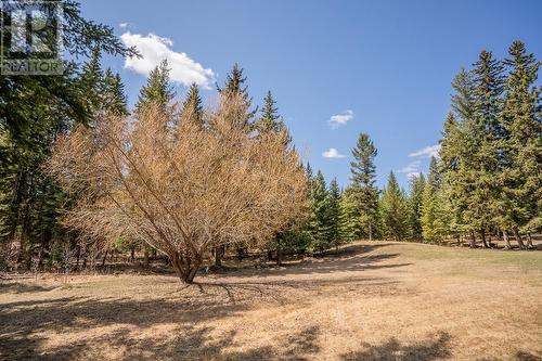 4712 Rudosky Road, Forest Grove, BC - Outdoor With View