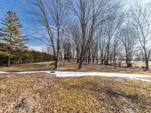 Terre/Terrain - 1167 Ch. Molleur, Pike River, QC - Outdoor With View