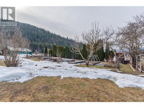 1930 20 Avenue Se, Salmon Arm, BC - Outdoor With View