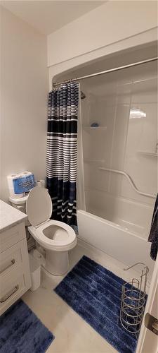 12 Mitchell Avenue, Collingwood, ON - Indoor Photo Showing Bathroom
