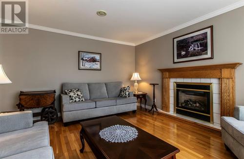 5 Falcon Place, St. John'S, NL - Indoor Photo Showing Living Room With Fireplace