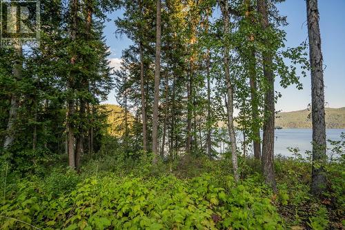 7462 Ruffell Road, Canim Lake, BC 