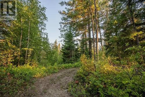 7462 Ruffell Road, Canim Lake, BC 