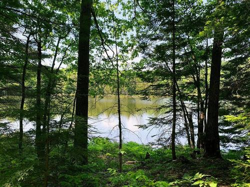 Water view - Ch. Des Carouges, Val-Des-Monts, QC 