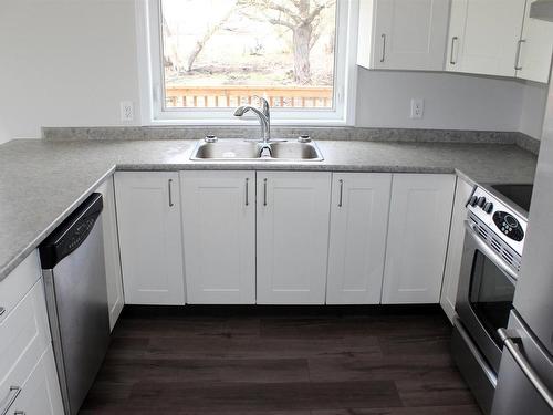 66 Ellen Street, Rainy River, ON - Indoor Photo Showing Kitchen With Double Sink