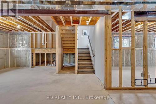 20 Queen St S, Kawartha Lakes, ON - Indoor Photo Showing Basement
