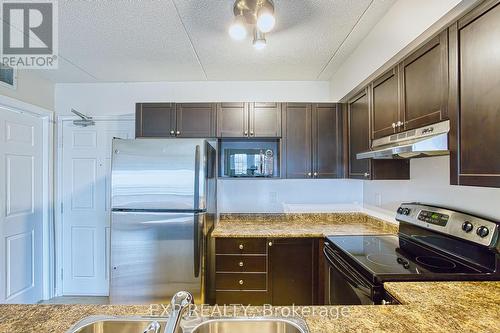 #303 -1340 Main St E, Milton, ON - Indoor Photo Showing Kitchen With Stainless Steel Kitchen With Double Sink