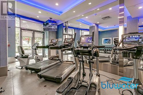 #203 -3500 Lakeshore Rd W, Oakville, ON - Indoor Photo Showing Gym Room