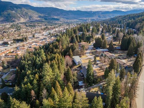 2103 10Th Avenue, Castlegar, BC - Outdoor With View