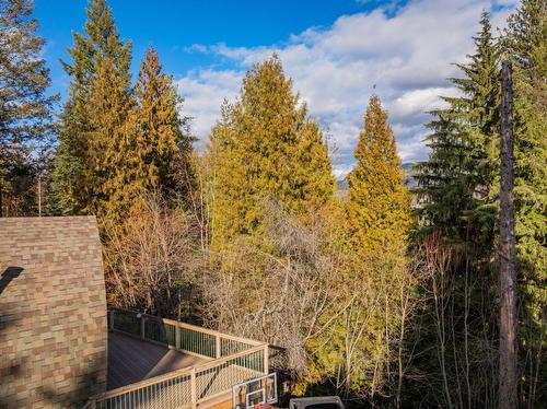 2103 10Th Avenue, Castlegar, BC - Outdoor With View