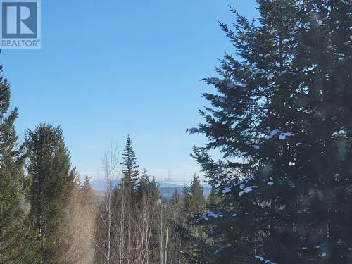 1974 Purser Creek Road, Quesnel, BC - Outdoor With View