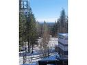 1974 Purser Creek Road, Quesnel, BC  - Outdoor With View 