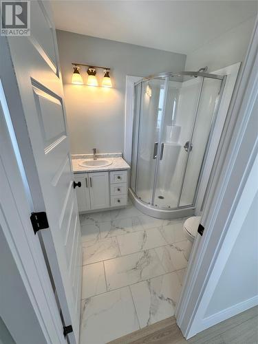 6 Chambers Cove Avenue, Mount Pearl, NL - Indoor Photo Showing Bathroom