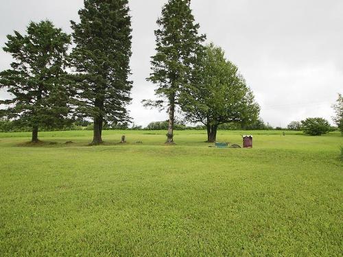 Land/Lot - 1190 Rg Double, Saint-Pamphile, QC - Outdoor With View
