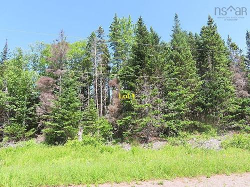 4.8 Acres Washabuck Road, Upper Washabuck, NS 