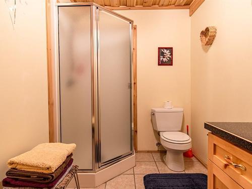 296 Trinity Valley Road, Lumby, BC - Indoor Photo Showing Bathroom