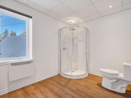 Bathroom - 47 Rue De La Chute-Rouge, Sainte-Marguerite-Du-Lac-Masson, QC - Indoor Photo Showing Bathroom