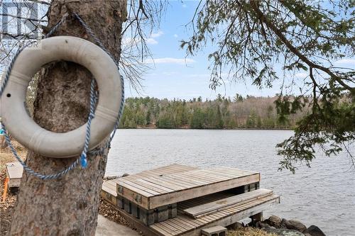 Let's go swimming! - 72 Stringers Lane, Burnstown, ON - Outdoor With Body Of Water