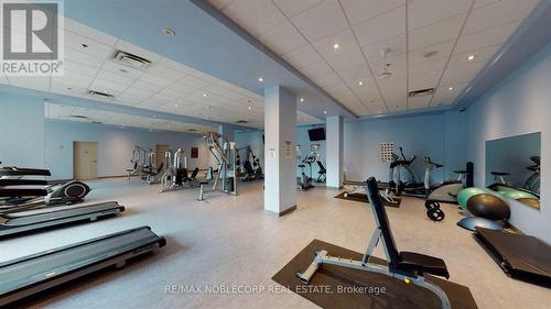 212 - 215 Queen Street E, Brampton, ON - Indoor Photo Showing Gym Room