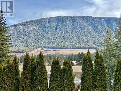 1649 Tappen Notch Hill Road, Tappen, BC - Outdoor With View