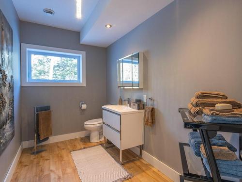 Powder room - 1621 Rue Du Hameau-Du-Cap-Blanc, Saint-Irénée, QC - Indoor Photo Showing Bathroom