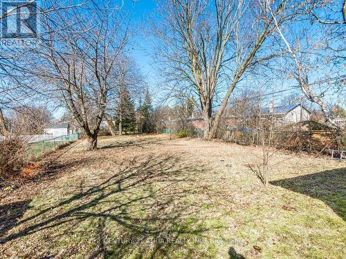 387 Crosby Avenue, Richmond Hill, ON - Outdoor With View