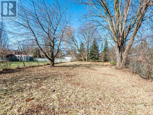 387 Crosby Avenue, Richmond Hill, ON - Outdoor With View
