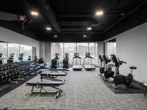 Exercise room - 710-16 Place Du Commerce, Montréal (Verdun/Île-Des-Soeurs), QC - Indoor Photo Showing Gym Room