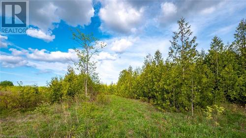 Lot 34 Dawson Road, Kemble, ON 