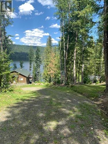 9019 S Mahood Lake Road, Canim Lake, BC - Outdoor With View