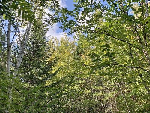 Lot5 Lower River Road, Grantville, NS 