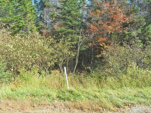 Lot5 Lower River Road, Grantville, NS 