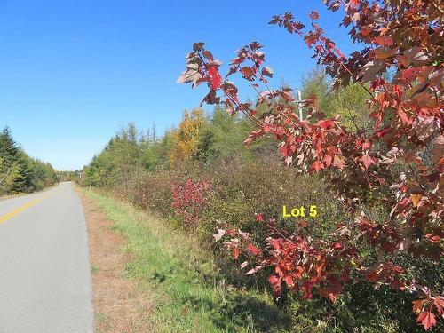 Lot5 Lower River Road, Grantville, NS 