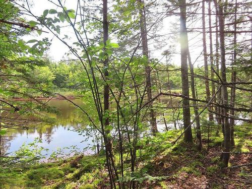 Lot5 Lower River Road, Grantville, NS 