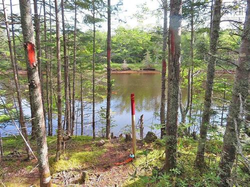 Lot5 Lower River Road, Grantville, NS 