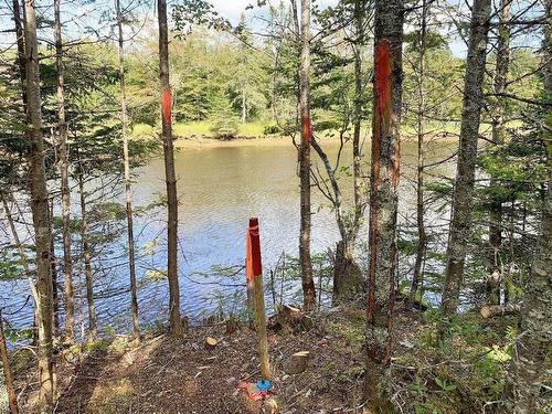 Lot5 Lower River Road, Grantville, NS 