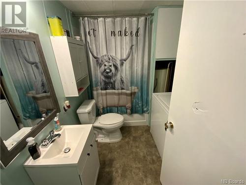 12 Chestnut Street, Woodstock, NB - Indoor Photo Showing Bathroom
