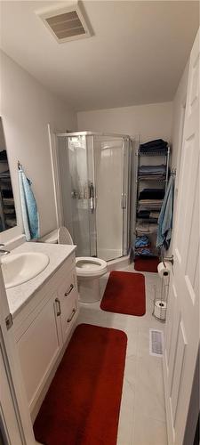 12 Mitchell Avenue, Collingwood, ON - Indoor Photo Showing Bathroom