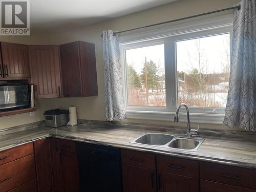 43 Bayview Heights Heights, Glovertown, NL - Indoor Photo Showing Kitchen With Double Sink