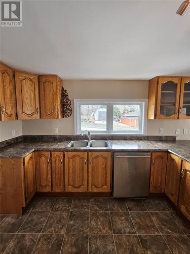 78 Back Track Road, Spaniards Bay, NL - Indoor Photo Showing Kitchen With Double Sink